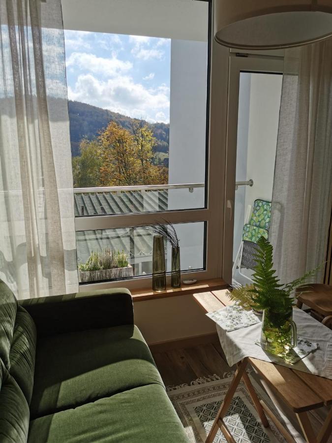 Hearth Hill View Apartment Устронь Екстер'єр фото